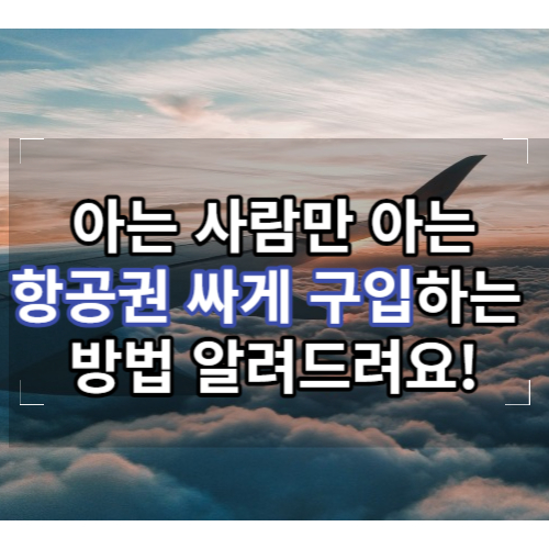 비행기 티켓 싸게 사는법, 항공권 싸게 구입하는 방법