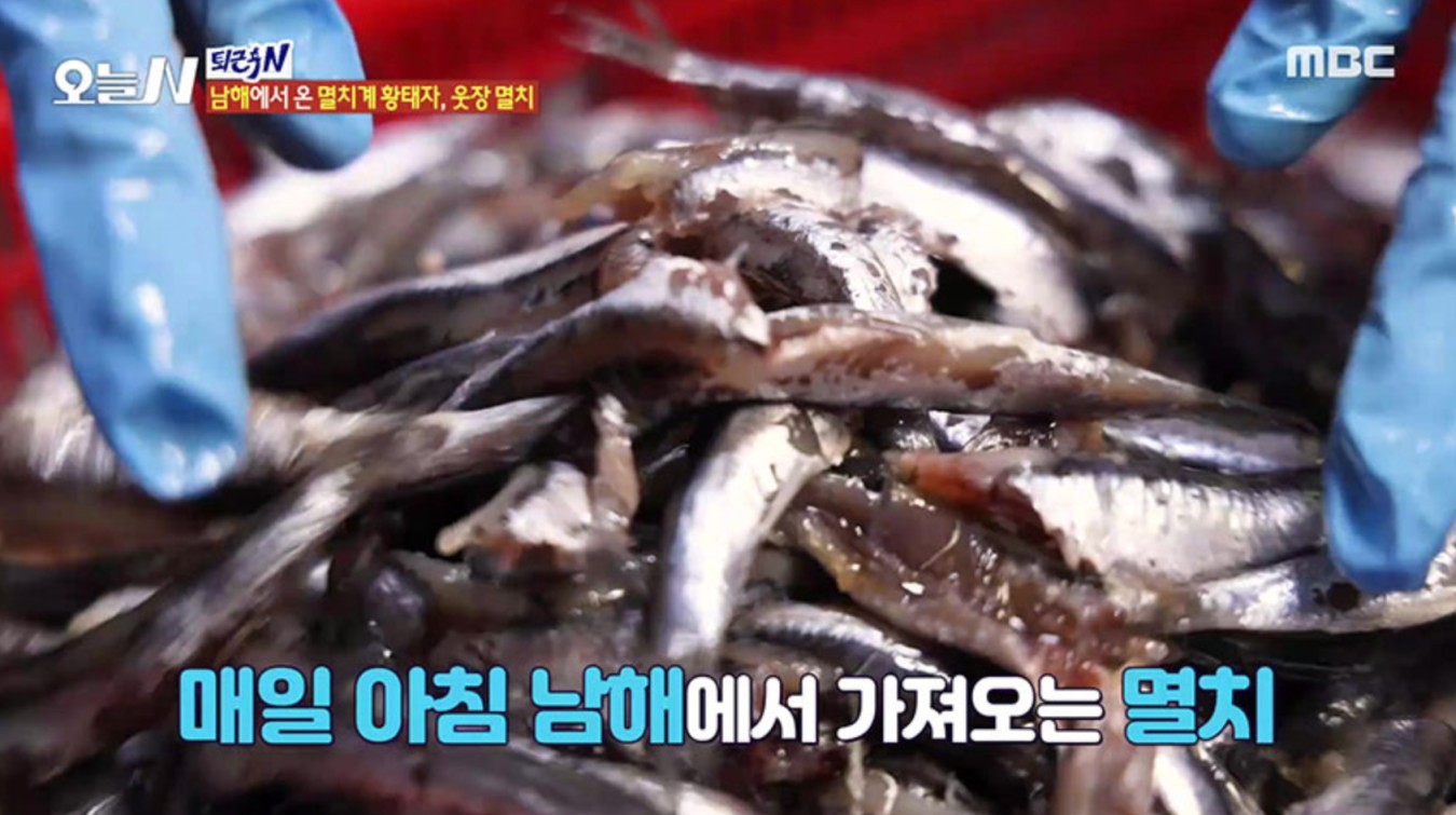 남해멸치