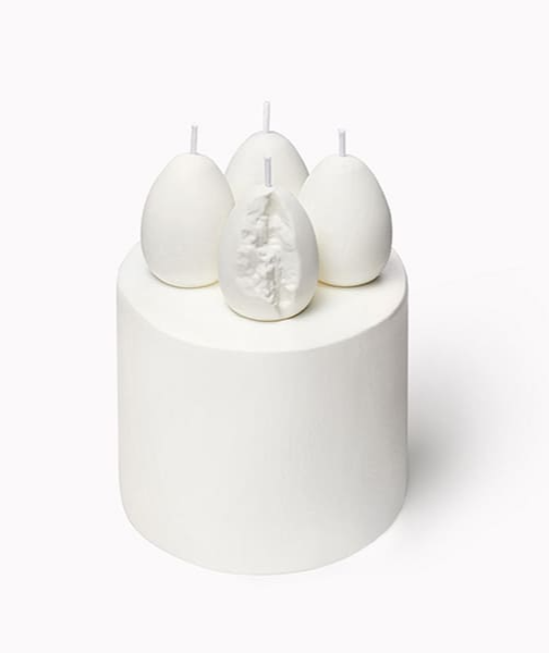 누데이크 벌스케이크 이미지