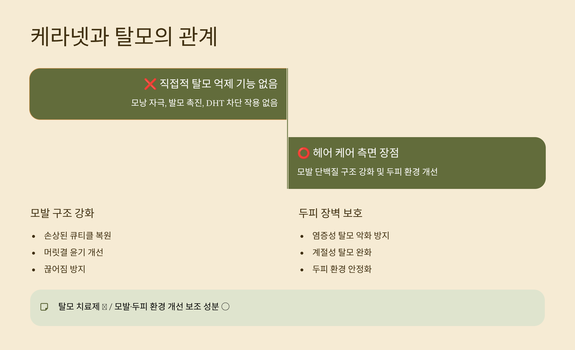 케라넷과 탈모의 관계