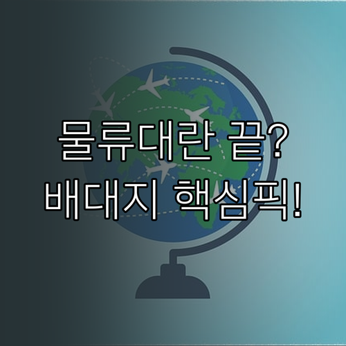 물류 대란 극복 광군제 배대지 운임 ..