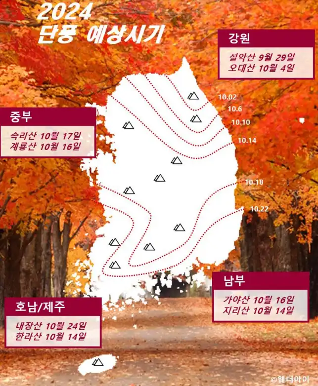 2024-단풍-시작시기