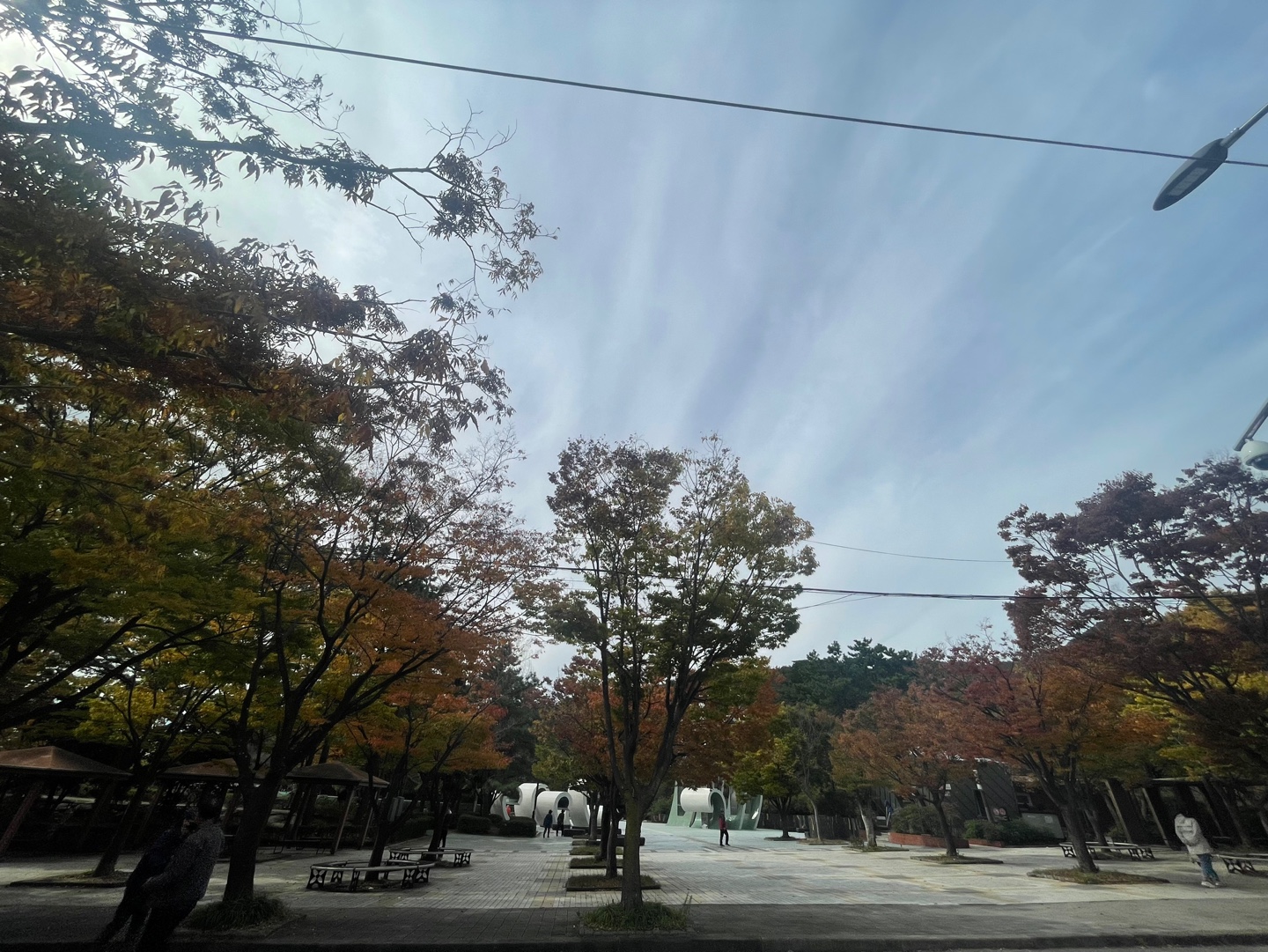 대천공원