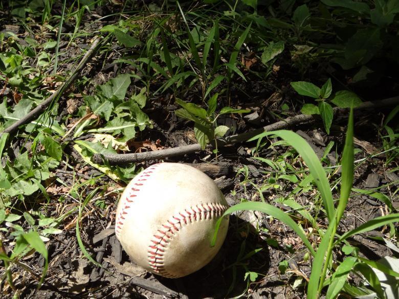 KBO 올스타전 중계 2025