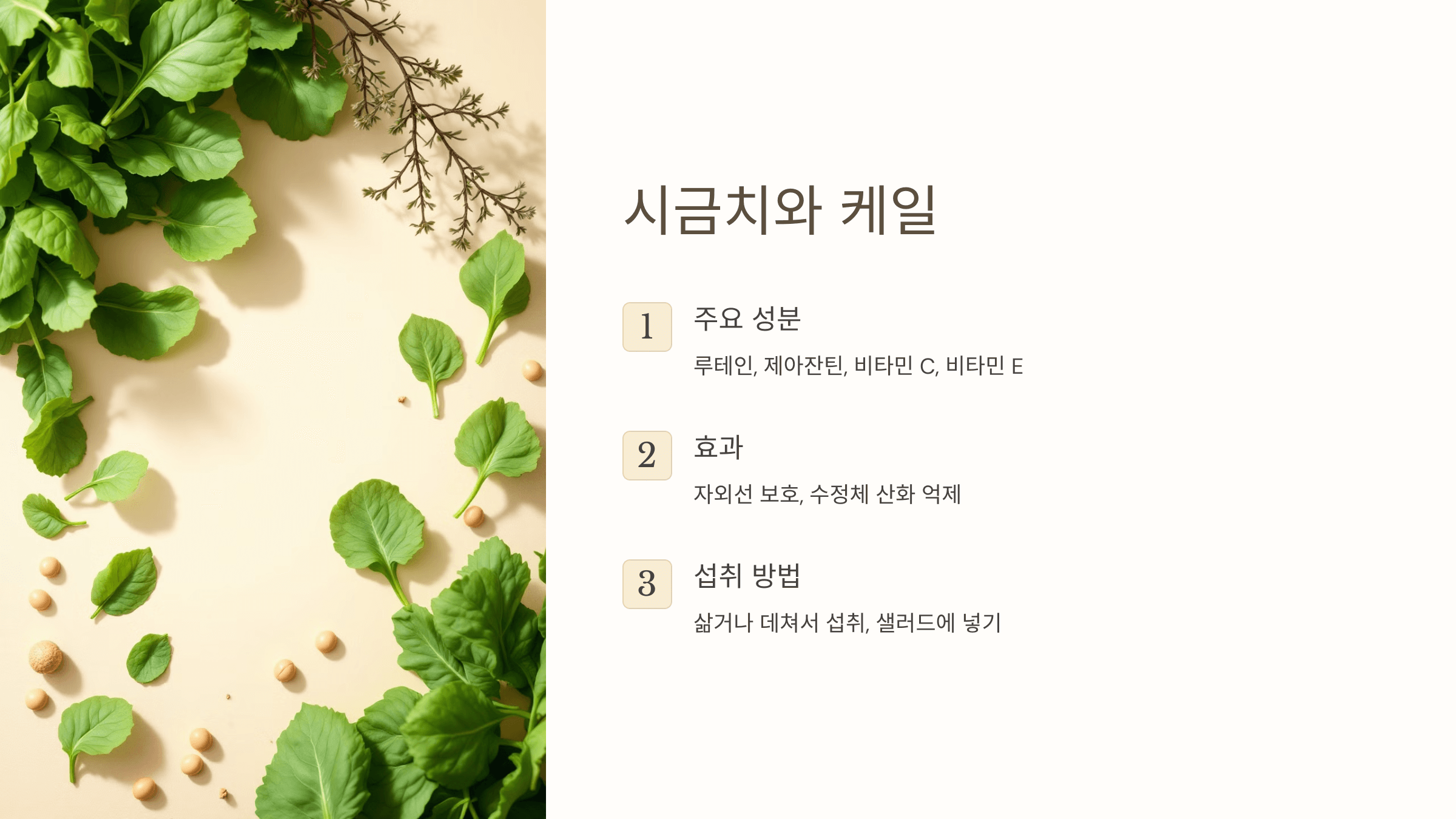 백내장과 관련된 사진입니다.