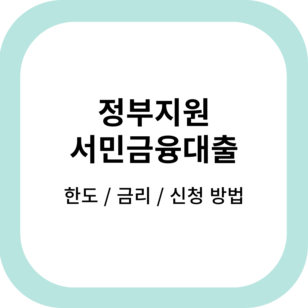정부지원대출