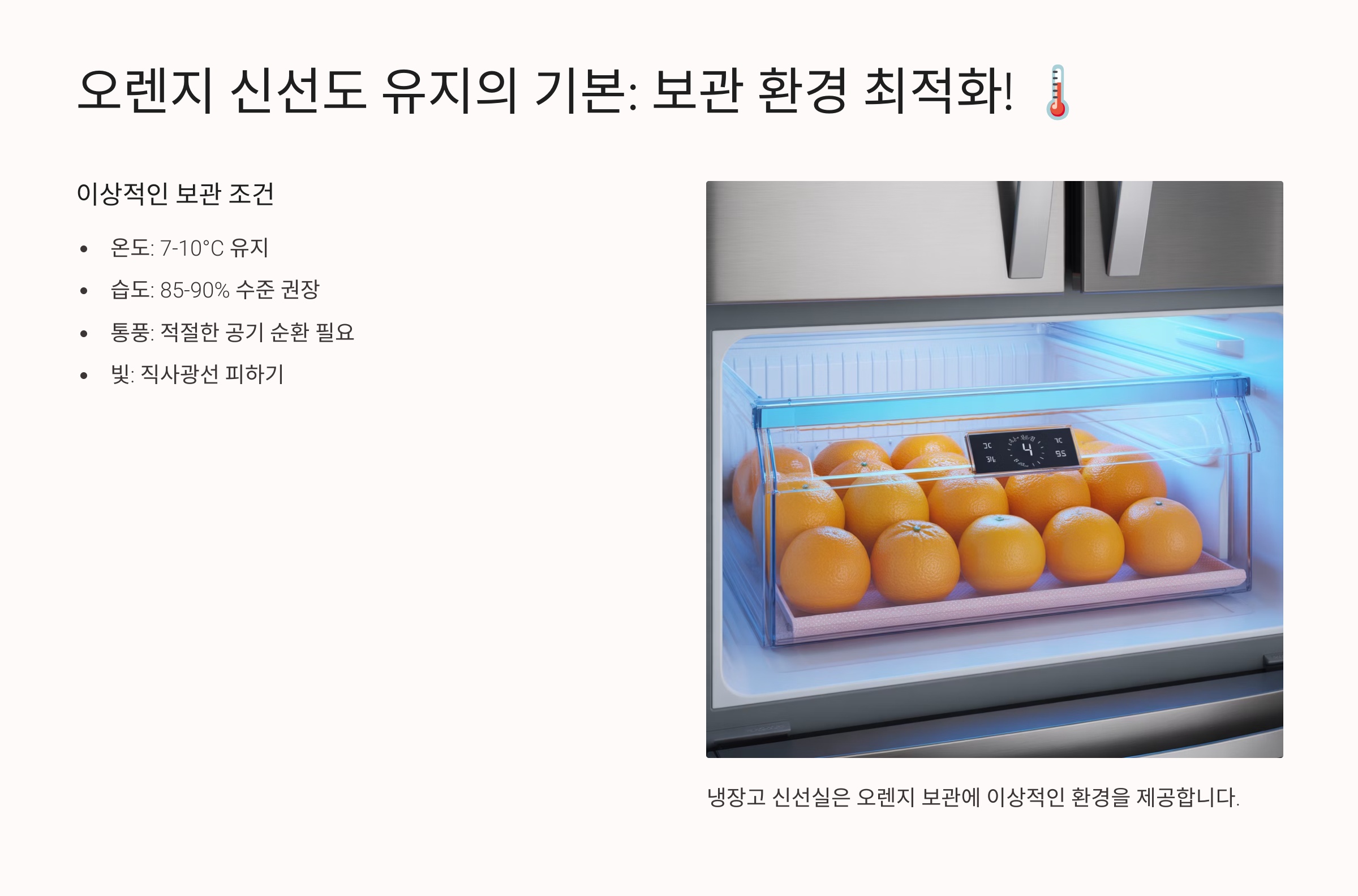 오렌지 신선도 유지의 기본: 보관 환경 최적화! 🌡️