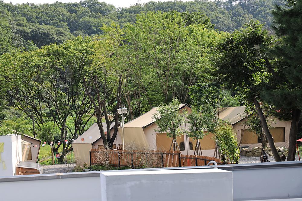 성남시 청계산골든밸리캠핑장 소개