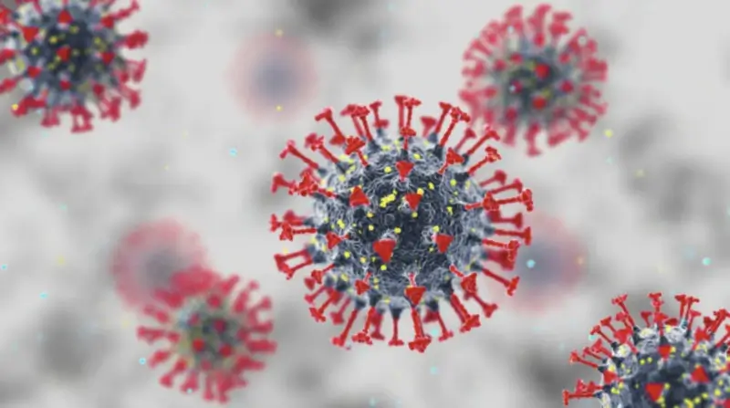 코로나-바이러스