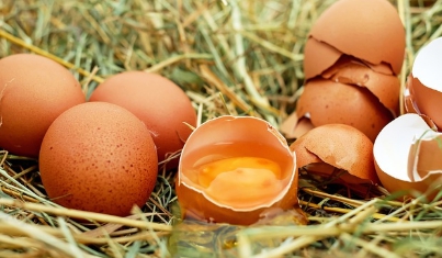 이석증에 좋은 음식 달걀