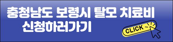 보령시 탈모치료비 신청바로가기