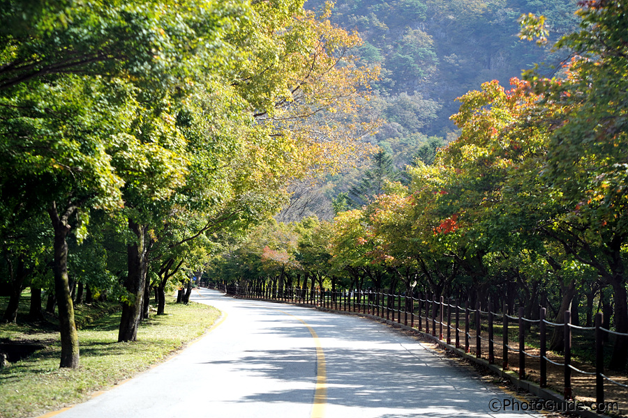 내장산-단풍