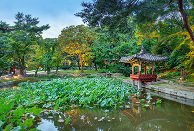 궁패스 경복궁 경희궁 창덕궁 창경궁 덕수궁