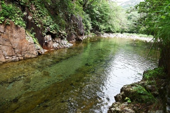 2025 여름휴가 계곡 추천 BEST 5 [+숨겨진 계속 명소]