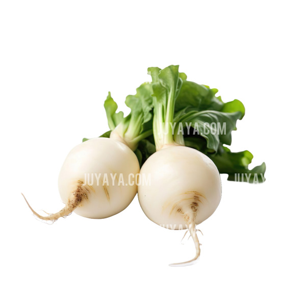 작고 둥근 무 두 개가 잎과 함께 놓여 있는 모습&amp;#44; 하얀 무와 신선한 녹색 잎의 대비가 아름다움.