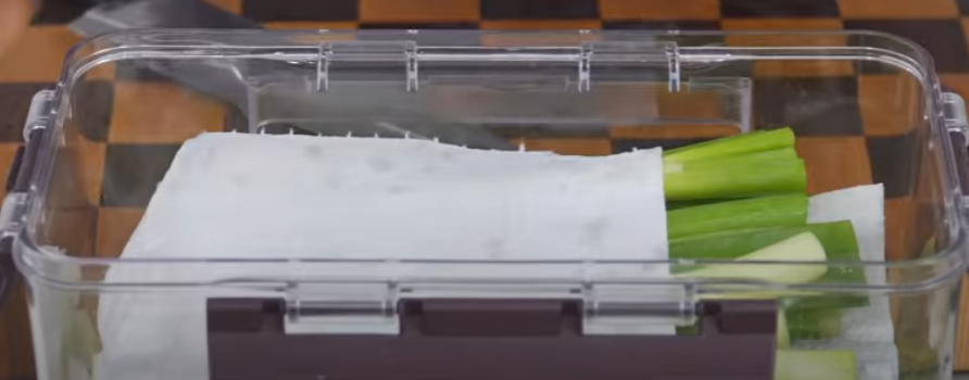 대파보관방법-키친타월이용