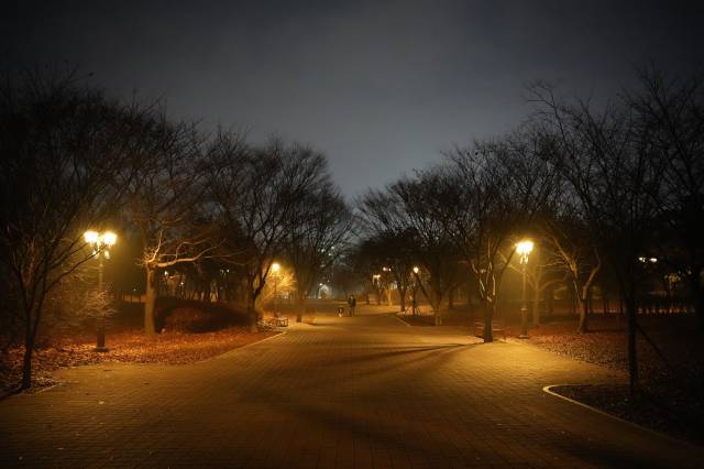 저녁 공원 사진