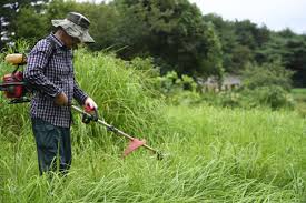 벌초대행 가격비교