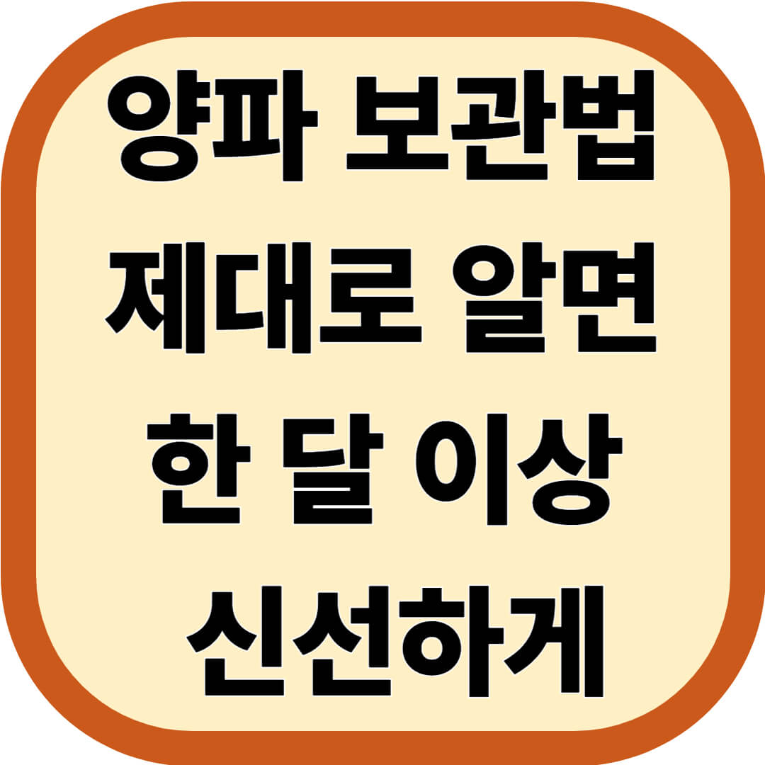 양파 보관법