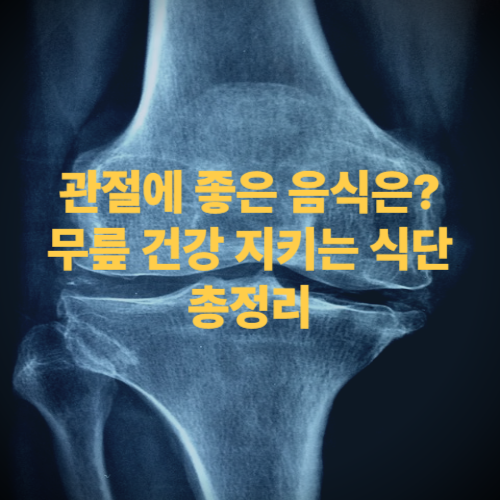 관절에 좋은 음식은? 무릎 건강 지키는 식단 총정리