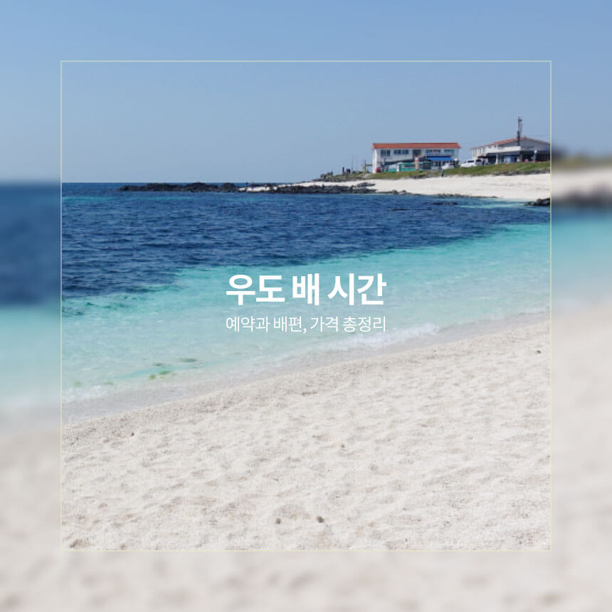 우도 배 시간, 배편과 가격