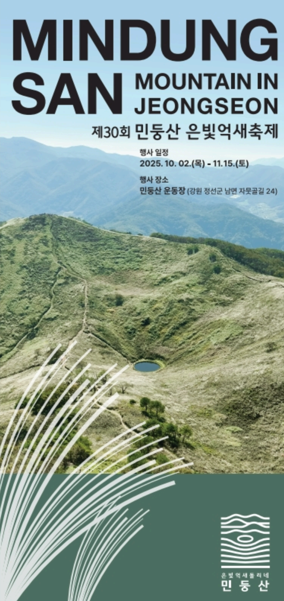 2025 정선 민둥산 억새꽃 축제 가이드 - 가을을 물들이는 은빛 물결 축제