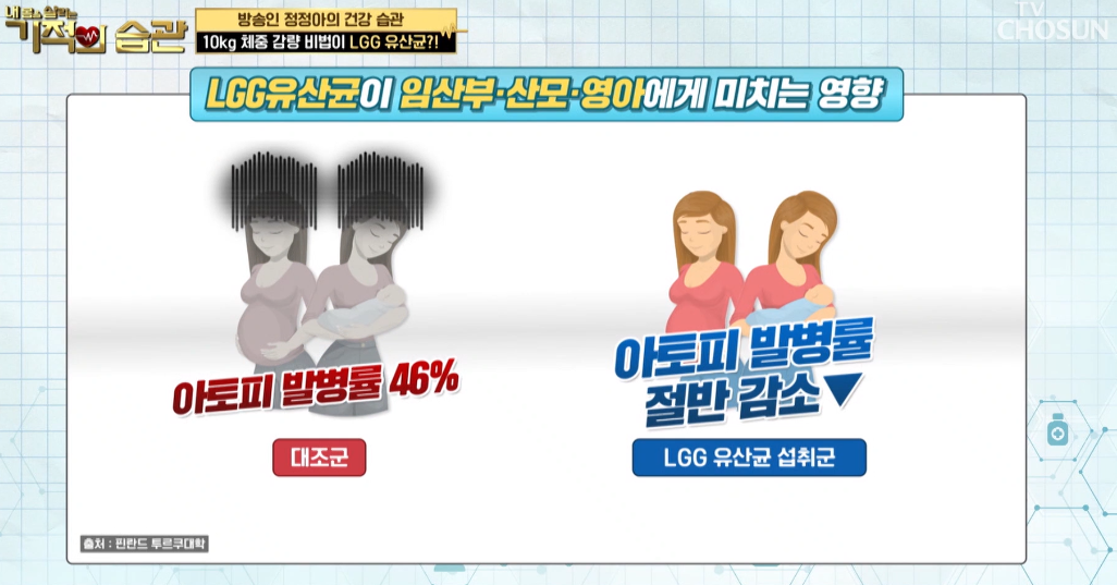 lgg유산균 비만억제