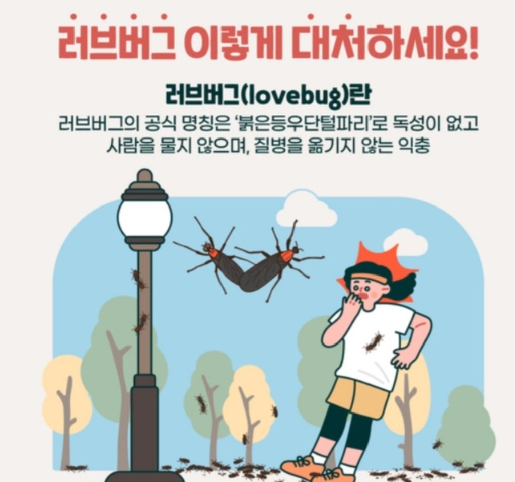 러브버그-지도-퇴치-실시간