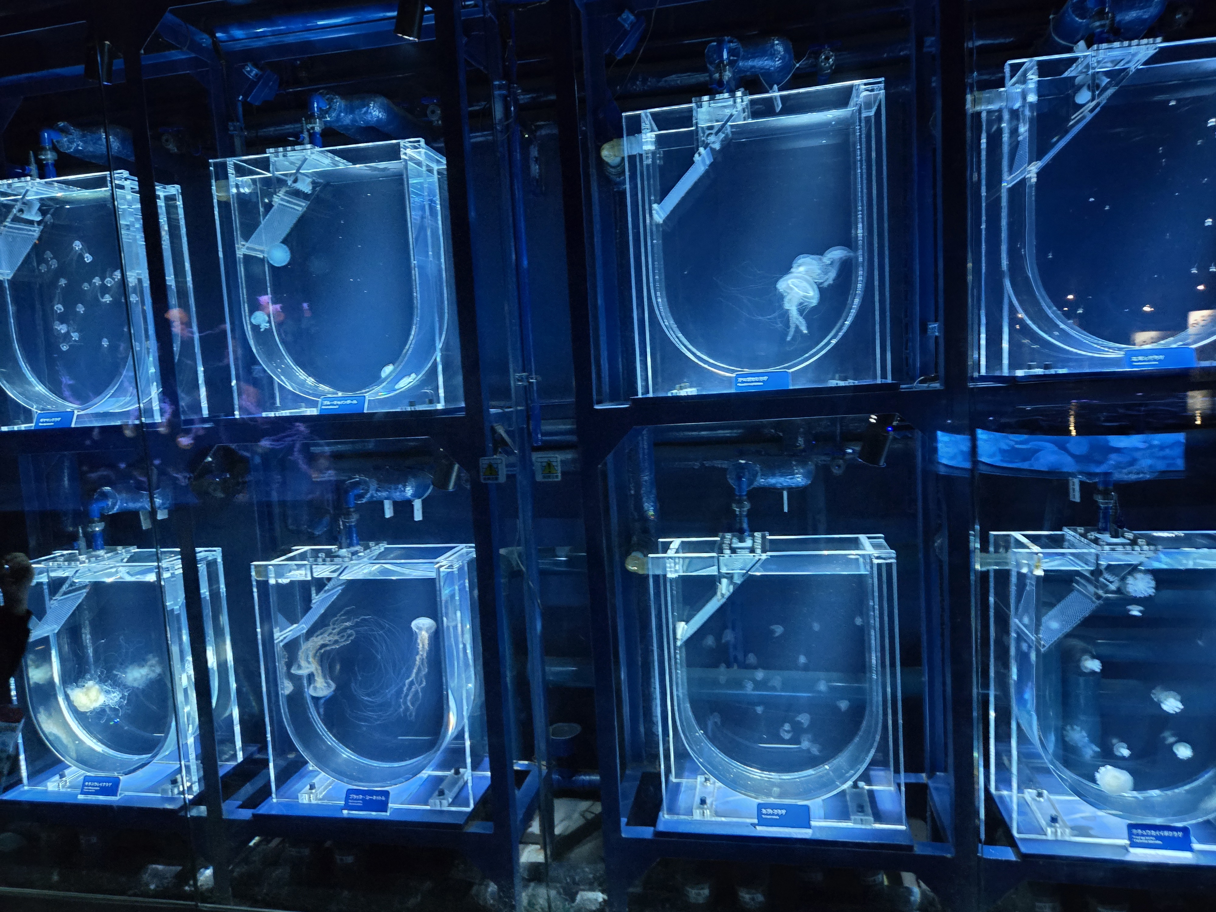 도쿄 스미다수족관