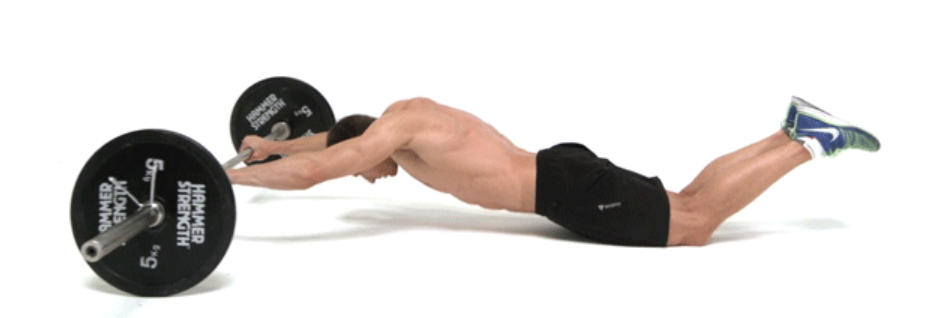 복근 바벨 휠 사용법