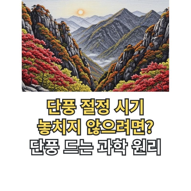 한국 단풍 절정 시기 산 풍경
