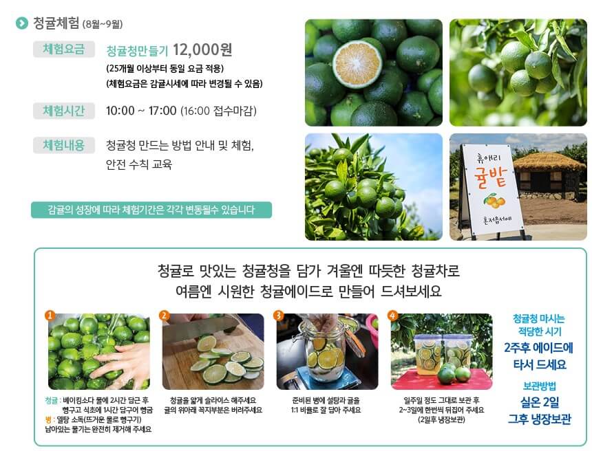 휴애리 유채꽃 축제 감귤체험&#44; 휴애리는 제주에서 아름다운 향토공원으로 한라산이 보이는 쉼과 제주의 향기를 느낄 수 있는 자연 생활 체험 공간입니다. 매년 매화&#44; 수국&#44; 핑크뮬리&#44; 동백꽃 축제가 열리고 있습니다. 계절마다 아름답게 피는 꽃을 제주도에서 본다면 잊지 못할 여행이 될 것입니다.