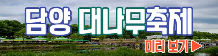 담양 대나무축제 보기