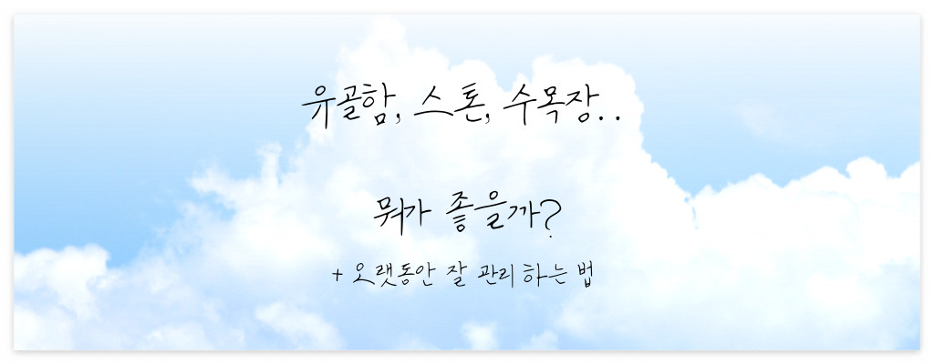 강아지 고양이 유골 보관