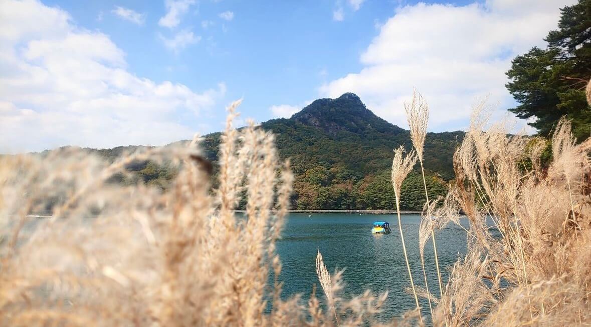 명성산 억새꽃축제