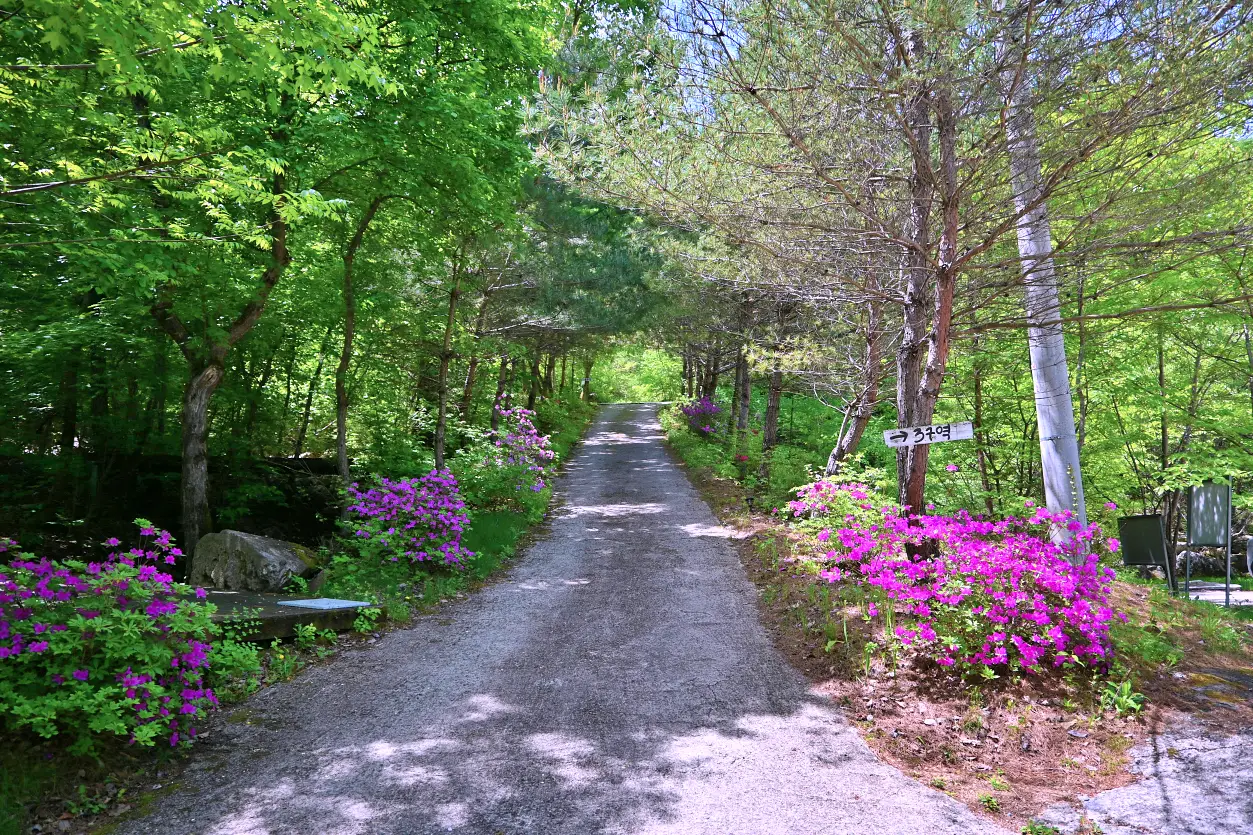 홍천 산으로캠핑장 힐링하기 좋은 멋진 캠핑장 사진 12