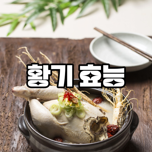 황기 효능
