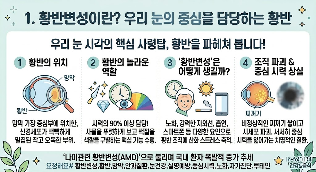 황반변성에 좋은 음식