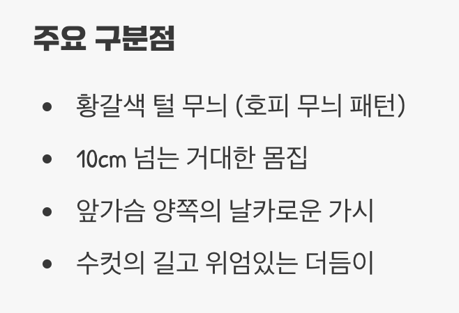 장수하늘소와 닮은 곤충들
