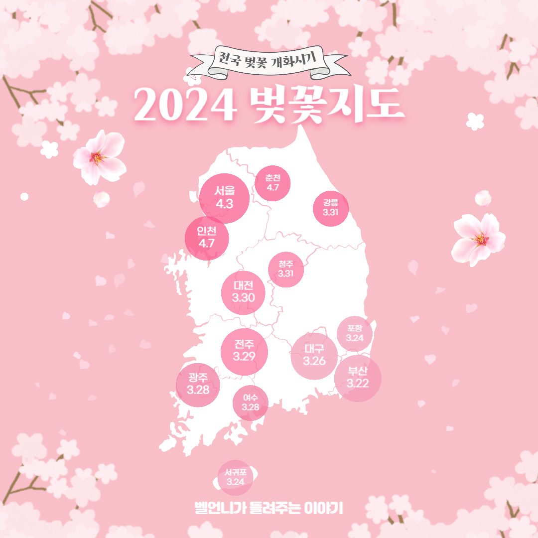 2024년 전국 벚꽃지도 개화시기 만개시기