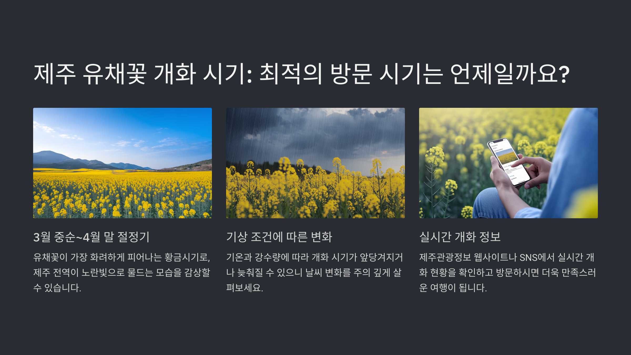 제주도 유채꽃 개화 시기와 명소