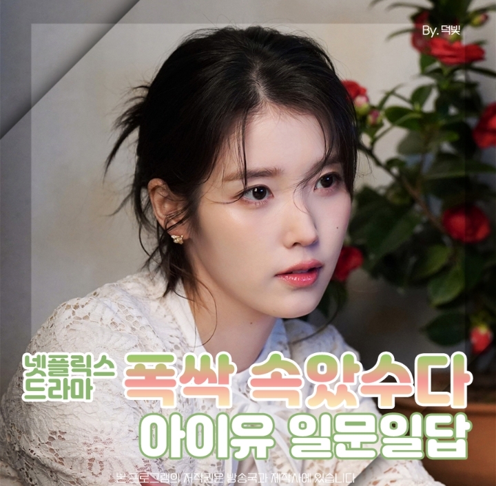 폭싹 속았수다 아이유 포스터