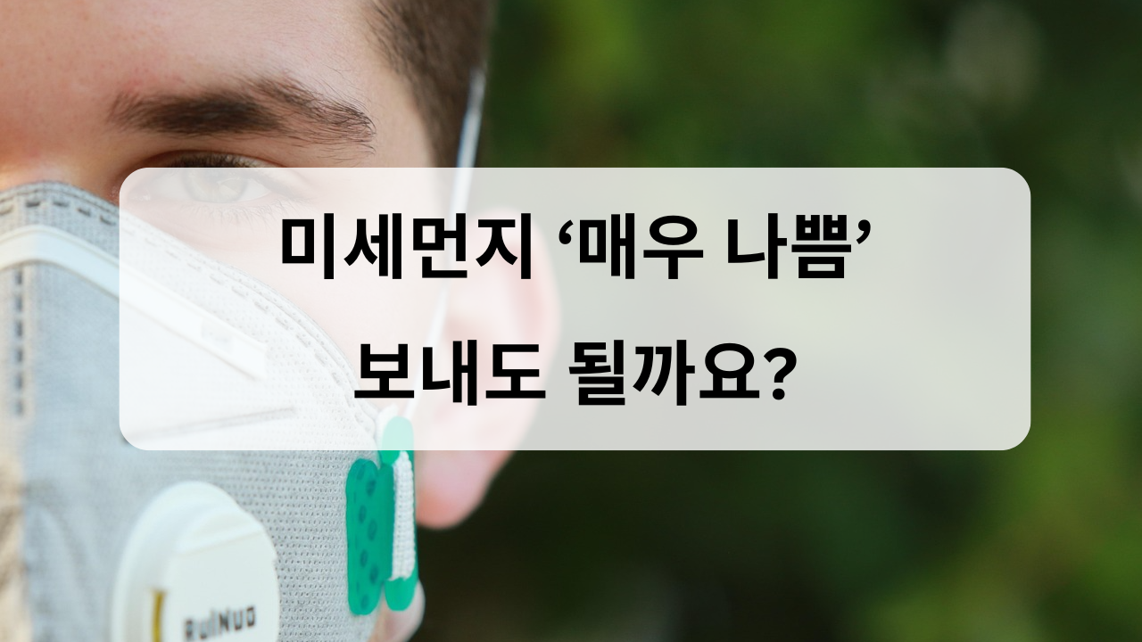 미세먼지 관리 관련 사진