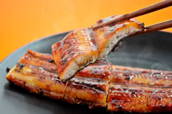 민물장어 가격 및 효능, 영양성분