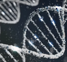 고지혈증 증상 원인 예방법 음식