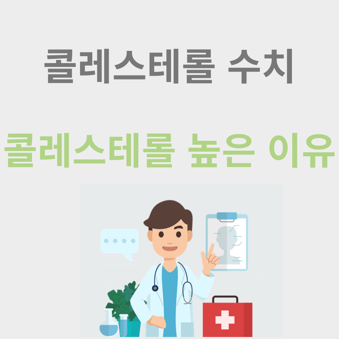 콜레스테롤