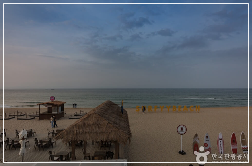 양양 가볼만한곳 베스트10 서피비치(Surfyy Beach)