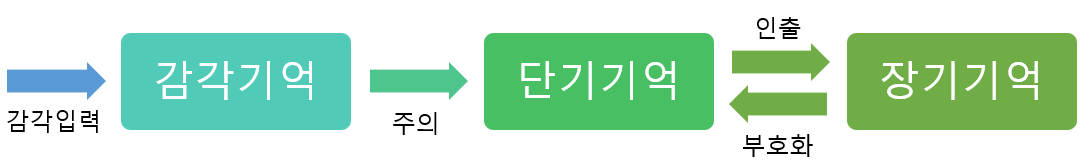 애트킨슨과 쉬프린의 기억 모델