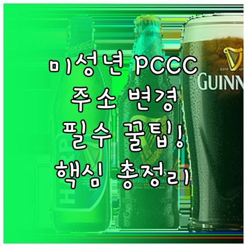 미성년 자녀 개인통관고유부호(PCCC..