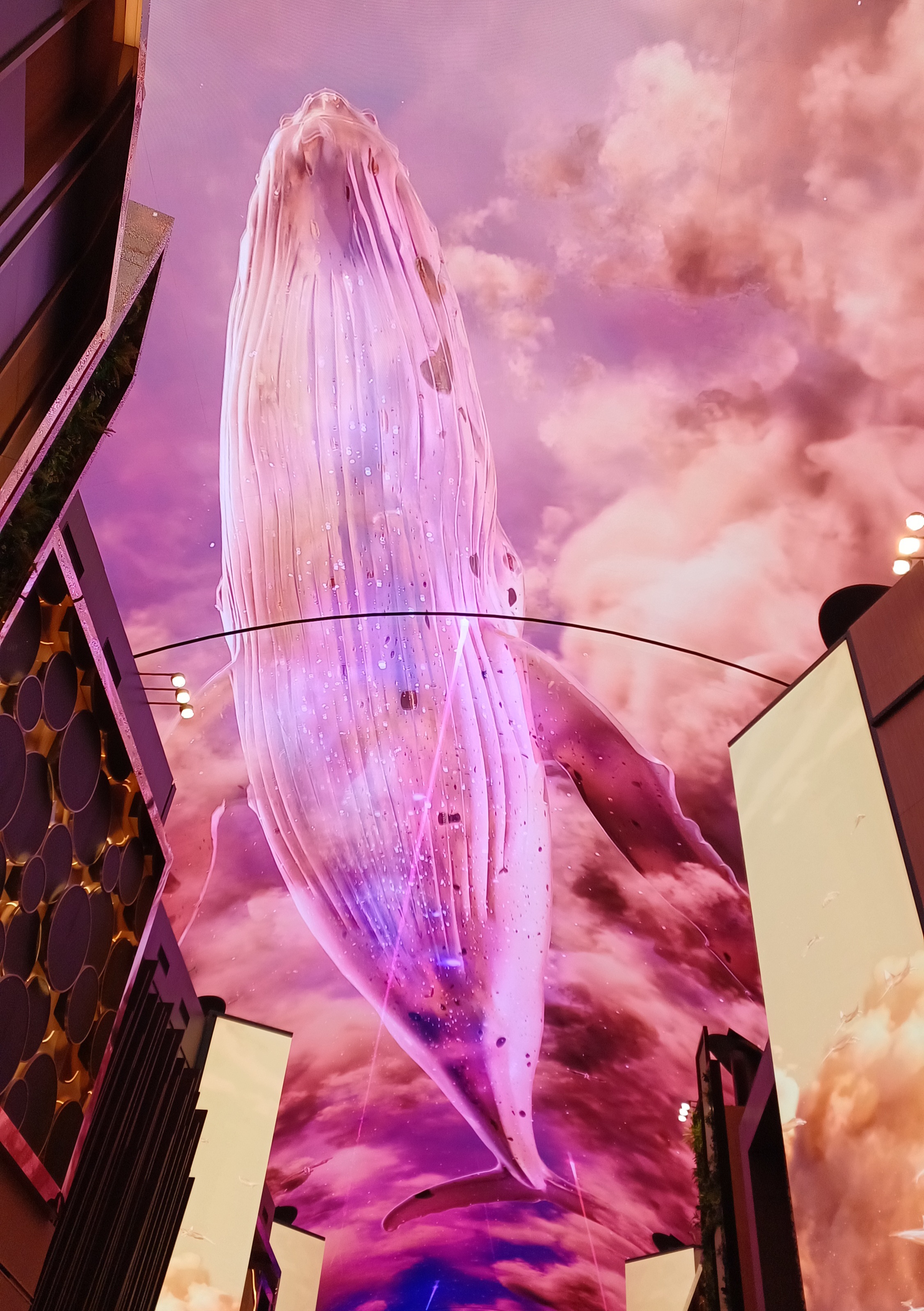 인스파이어-오로라-고래쇼-10